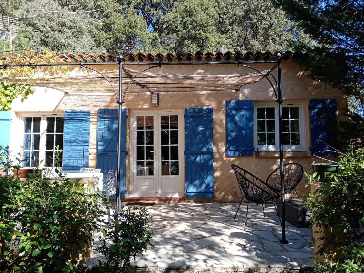 Au Mas Saint Pierre Hotel Pignans Екстериор снимка