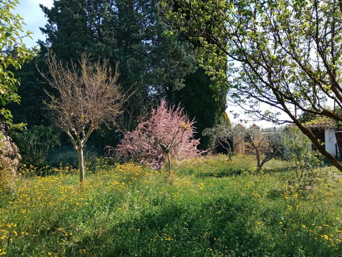 Au Mas Saint Pierre Hotel Pignans Екстериор снимка