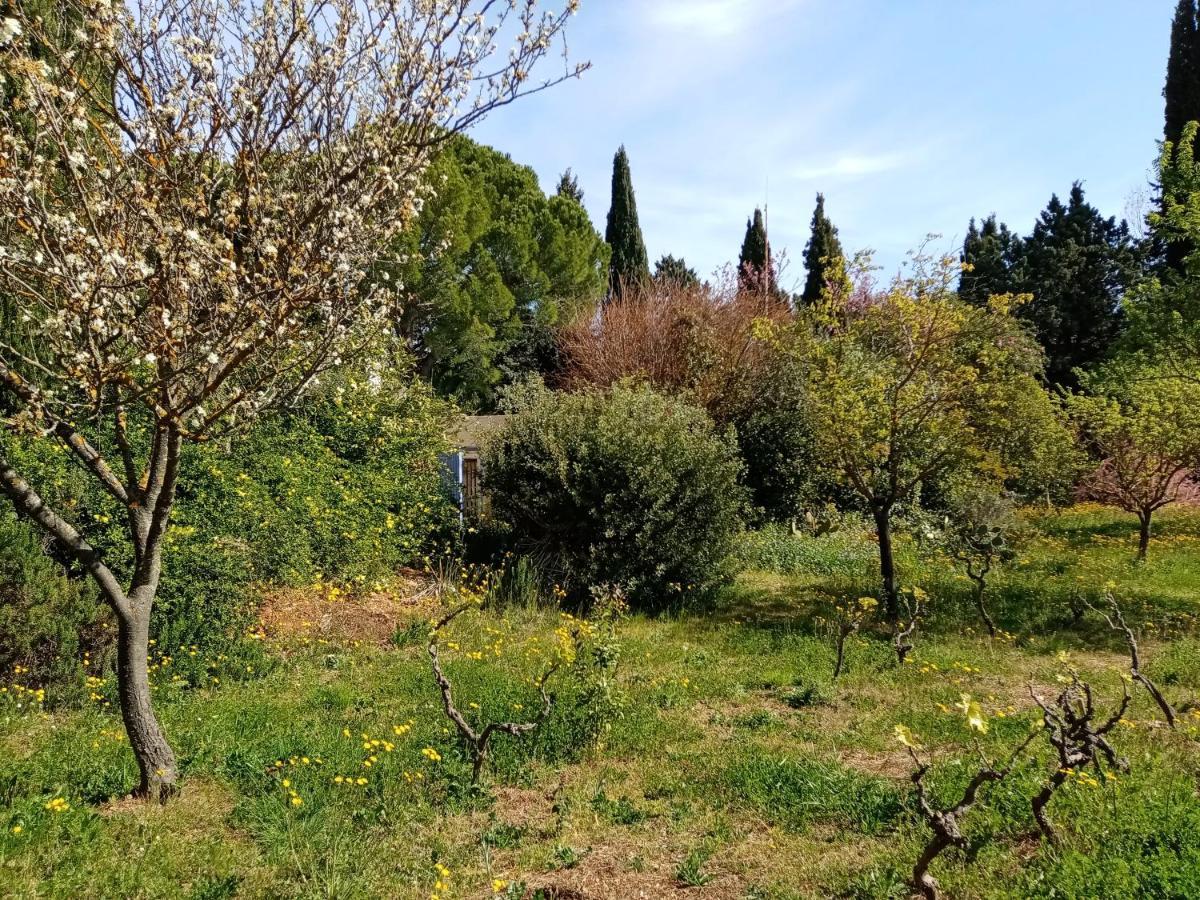 Au Mas Saint Pierre Hotel Pignans Екстериор снимка