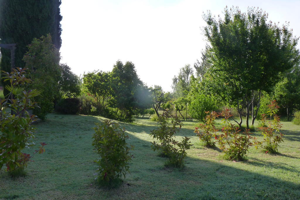 Au Mas Saint Pierre Hotel Pignans Екстериор снимка
